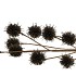 SILK PLANTANE BRANCH BLACK GLITTER 75X20X5CM
