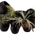 AMARAH BLACK BOLPOT 25,5X22CM NM
