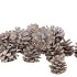 NATURE AUSTRIANS WHITEWASH 5KG NM
