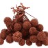DRY PLATANE COPPER P/BUNDEL