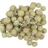 DRY PLATANE APPEL GROEN P/BUNDEL