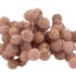 DRY PLATANE ZACHT ROZE PER BUNDEL NM