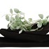 WOOD BLACK BOAT 38X12X5CM NM