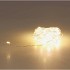 LED LIGHT CHAIN SILVER 80LED WARM WHITE 220VOLT