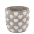 LOVE AMORE SINGLE WHITE POT ASS P/1 12X12X11CM NM