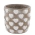 LOVE AMORE SINGLE WHITE POT ASS P/1 14X14X13CM NM