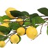 SILK LEMON BRANCH YELLOW 90CM