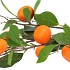 SILK CLEMENTINE ORANGE 90CM