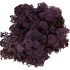 MOS ICELAND AUBERGINE 500GRAM NM