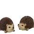 HEDGEHOG POLY BIG ASS PER 1 15X10X9CM NM