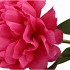 SILK PEONY TAK PINK 71CM