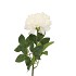 SILK PEONY TAK CREME 71CM