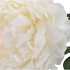 SILK PEONY TAK CREME 71CM