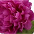 SILK PEONY TAK PURPLE 71CM