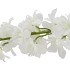 SILK DELPHINIUM TAK WHITE 115CM NM