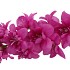 SILK DELPHINIUM TAK FUCHSIA 115CM