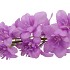 SILK DELPHINIUM TAK LILAC 115CM