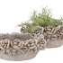 CONCRETE SAINT ANTIQUE FLOWER BOWL OVAL 28X16X12CM NM