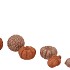 JINGLE NUDE/COPPER PUMPKIN ASS NM