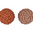 JINGLE NUDE/COPPER PINECONE ASS 7X7X10CM NM