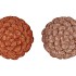 JINGLE NUDE/COPPER PINECONE ASS 9X9X13CM NM