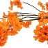 SILK CHERRY BLOSSOM ORANGE 126CM NM