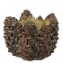 CONCRETE NATURAL PINECONE POT ROUND EDGE 17X17X12CM NM
