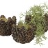 CONCRETE NATURAL PINECONE POT ROUND EDGE 17X17X12CM NM