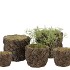 CONCRETE NATURAL PINECONE POT ROUND 15X15X12CM NM