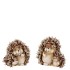 HEDGEHOG WOLLY PARENT ASS 7X7X7CM NM