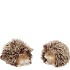 HEDGEHOG WOLLY DUO ASS 10X6X6CM NM