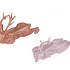 SPARKLE NUDE MIX DEER SINGLE ASS 28X15X6CM