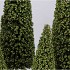 SPARKLE GREEN TREE BERRY 15X40CM