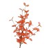 SILK EUCA CINEREA ORANGE 72CM NM