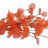 SILK EUCA CINEREA ORANGE 72CM NM