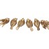 DECO HUMMING BIRD GOLD 6 ASSORTED 5X5X7CM