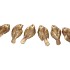 DECO HUMMING BIRD GOLD 6 ASSORTED 5X5X9CM