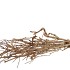 NATURE TEA BUSH 65CM P/BUNDEL NM