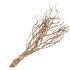 NATURE TEA BUSH 65CM PER BUNDEL NM
