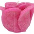 CANDLE ROOS FUCHSIA 14X12CM