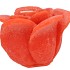 CANDLE ROOS ORANGE 11X9CM