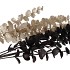 PICK SHINE EUCALYPTUS BLACK/CHAMPAGNE 80CM ASS NM