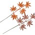 PICK SHINE MAPLE COPPER/BRONZE 44CM ASS PER 12 NM