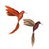 DECO SHINE BIRD HUMMING COPPER/BRONZE 16CM ASS NM