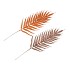 PICK SHINE FERN COPPER/BRONZE 48CM ASS P/12 NM