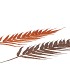 PICK SHINE FERN COPPER/BRONZE 48CM ASS P/12 NM