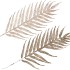 PICK SHINE FERN CHAMPAGNE/GOLD 48CM ASS P/12 NM