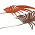 PICK SHINE PALM COPPER/BRONZE 36CM ASS PER 12
