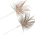 PICK SHINE PALM CHAMPAGNE/GOLD 36CM ASS PER 12 NM