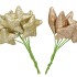 PICK SHINE STAR CHAMPAGNE/GOLD 4X7CM ASS PER 96 NM